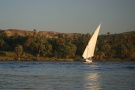 Felucca On Nile